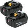 Makita BL1850B-2 18V Battery 2-Pack -Best Tool Shop bl1850b 2 lg