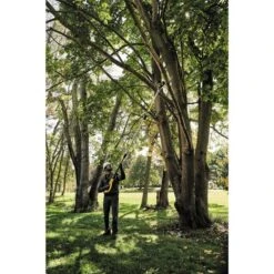 DeWalt DCPS620B 20V MAX XR Cordless Pole Saw (Tool Only) -Best Tool Shop image 8a0f1e76 074e 48c0 92de bc88e911fb1b